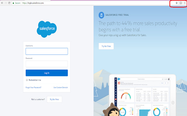 Salesforce Org Status chrome extension