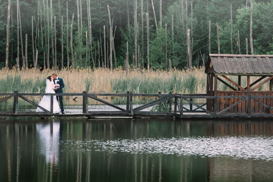 Wedding photographer Sergey Chepulskiy (chepulskyi). Photo of 12 June 2017