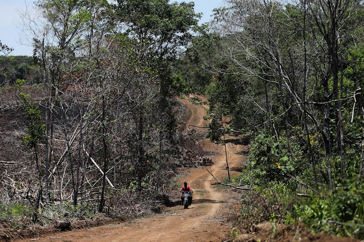 Congo is currently at loggerheads with conservationists and scientists over its plan to open other parts of its rainforest and peatlands to oil and gas drilling. File photo.