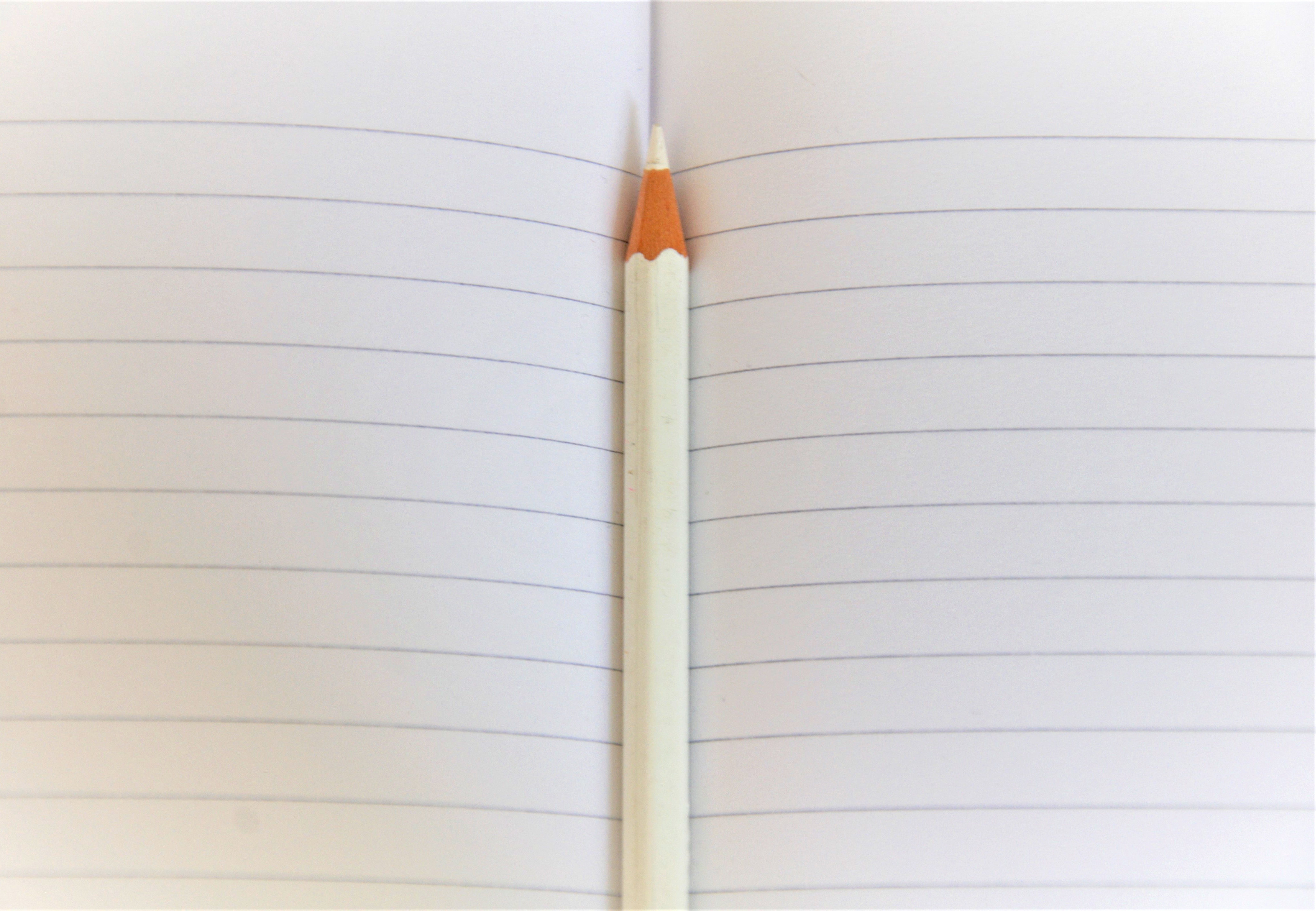 La matita bianca di emanuela_terzi
