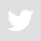 Item logo image for Tweet Current Page