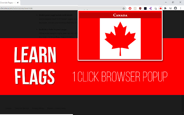 Learn Flags (Popup Game) chrome extension