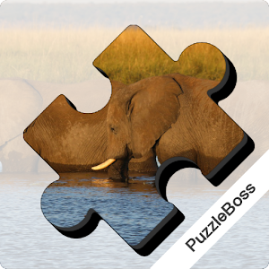 Jigsaw Puzzles: Africa