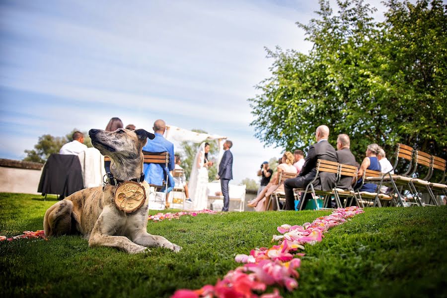 Photographe de mariage Thomas Hinder (thomashinder). Photo du 10 janvier 2020