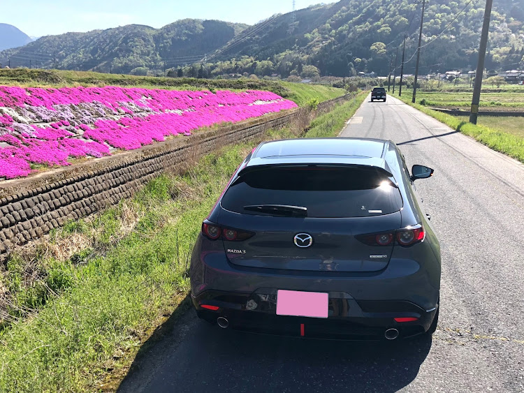 MAZDA3の👍️いいね&コメント&フォローありがとうございます。😄😄・4月もよろしくお願い致します🌸・奥様とドライブがてら・芝桜とコラボ✨📸に関するカスタム事例の投稿画像4枚目