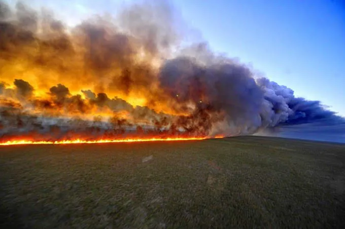 Un incendio di Amazzonia