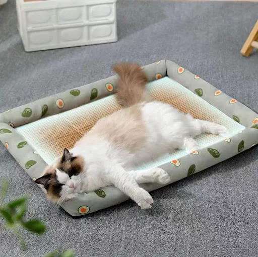 images slider number - 5