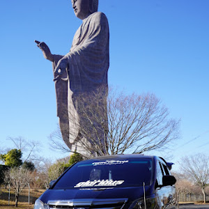 アルファード ANH20W
