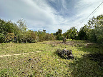 terrain à Souppes-sur-Loing (77)