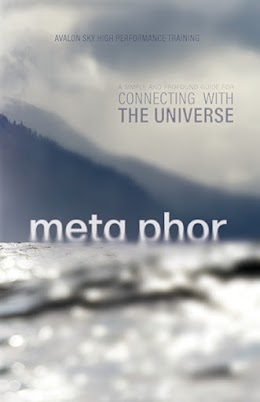 Meta Phor cover