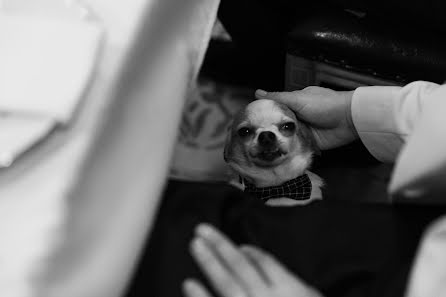 Wedding photographer Denis Kresin (kresin). Photo of 13 February 2024