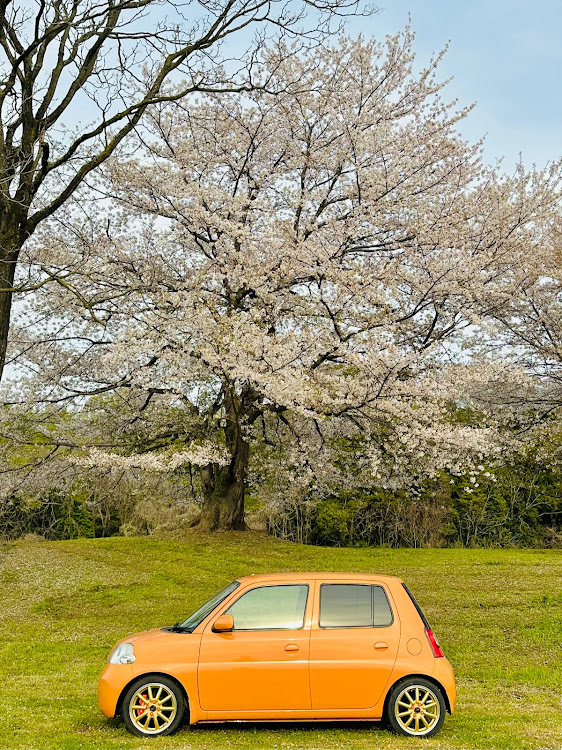 の投稿画像2枚目