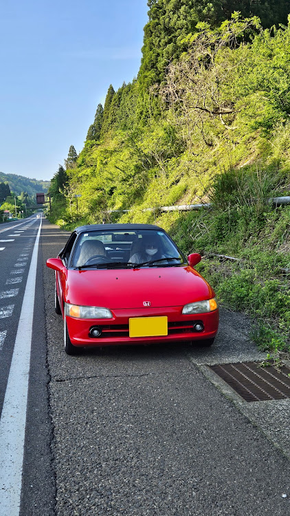 の投稿画像14枚目