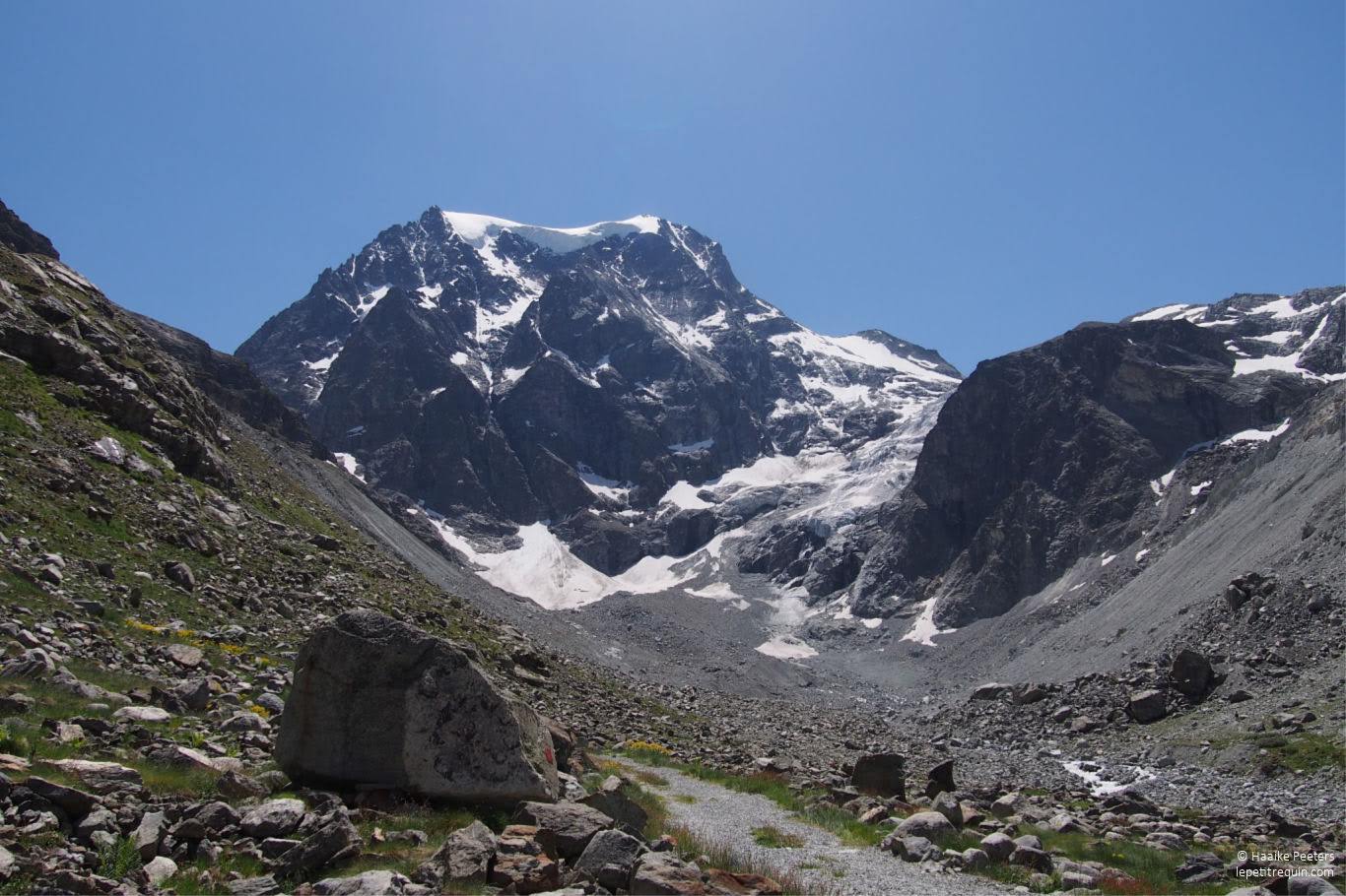 Mont Collon (Le petit requin)