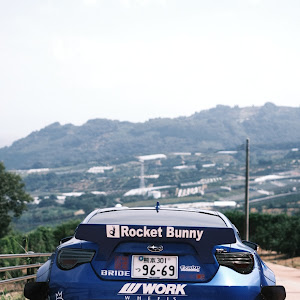 BRZ ZC6