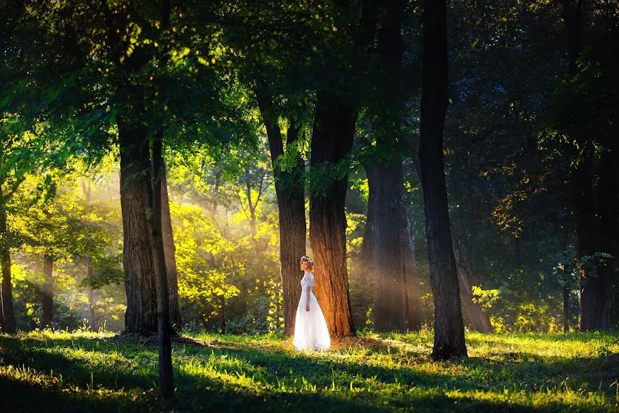 Fotógrafo de casamento Dmytro Sobokar (sobokar). Foto de 29 de janeiro 2017