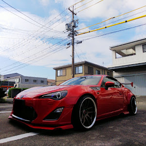 86 ZN6