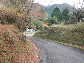 集落の車道を進む