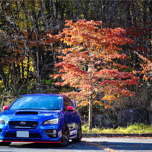 WRX STI VAB