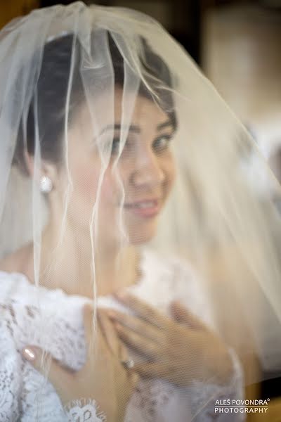 Fotógrafo de bodas Aleš Povondra (povondraales). Foto del 28 de febrero 2019