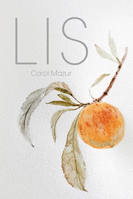 Lis cover