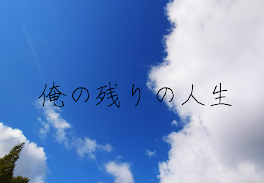 俺の残りの人生【作成停止中】