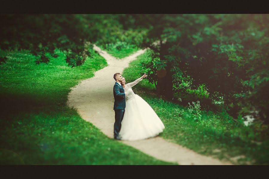 Fotografo di matrimoni Dmitriy Volkov (pasitrua). Foto del 28 luglio 2014