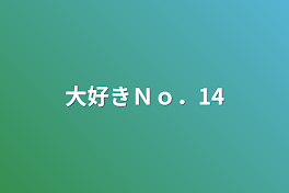 大好きＮｏ．14