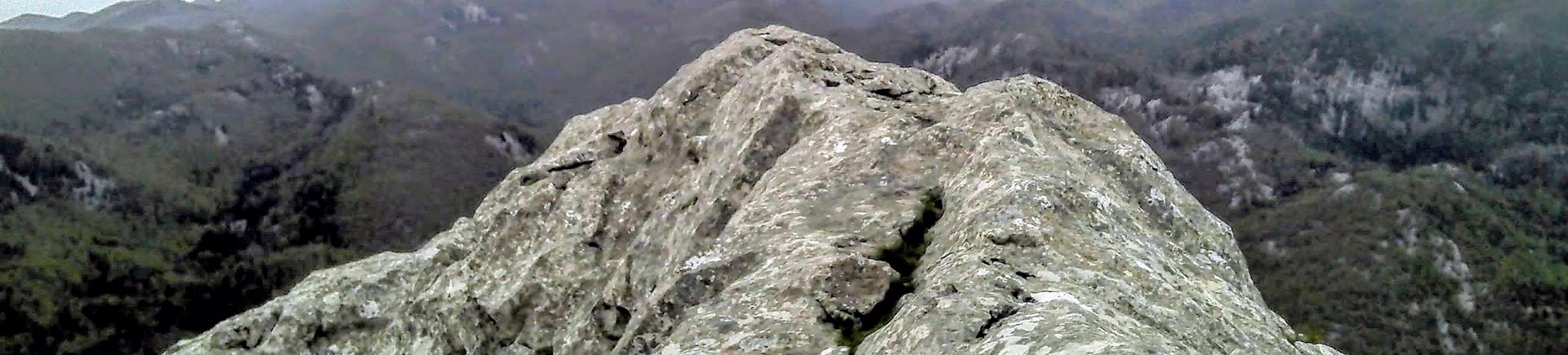 A thumbnail image