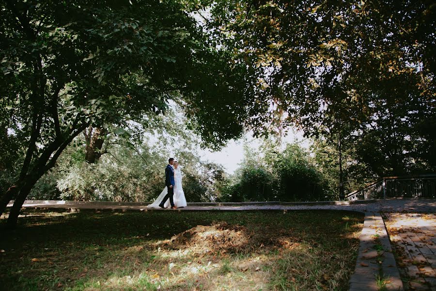 Fotografo di matrimoni Anna Faleeva (annafaleeva). Foto del 11 febbraio 2019