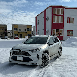 RAV4 MXAA54