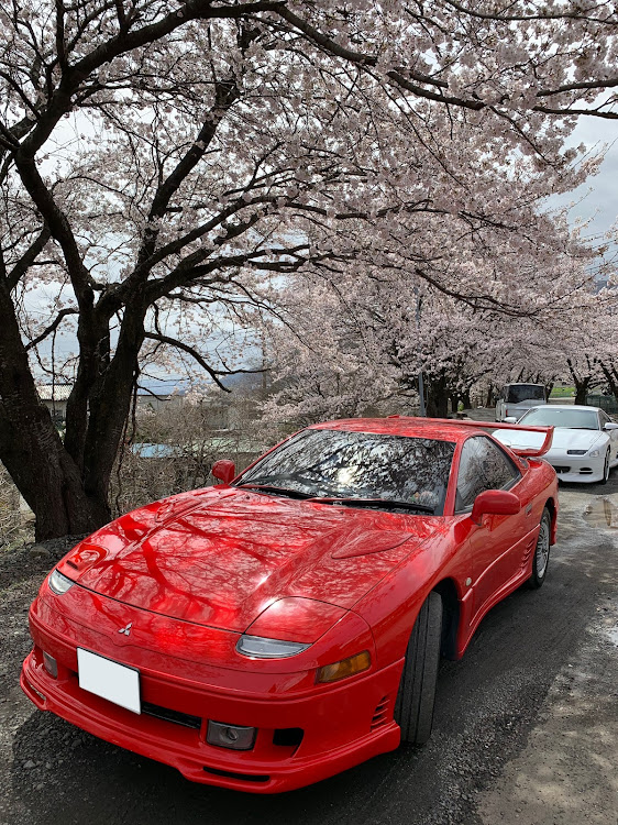 GTOの桜とコラボ・サクラと愛車・毎年恒例に関するカスタム事例の投稿画像2枚目