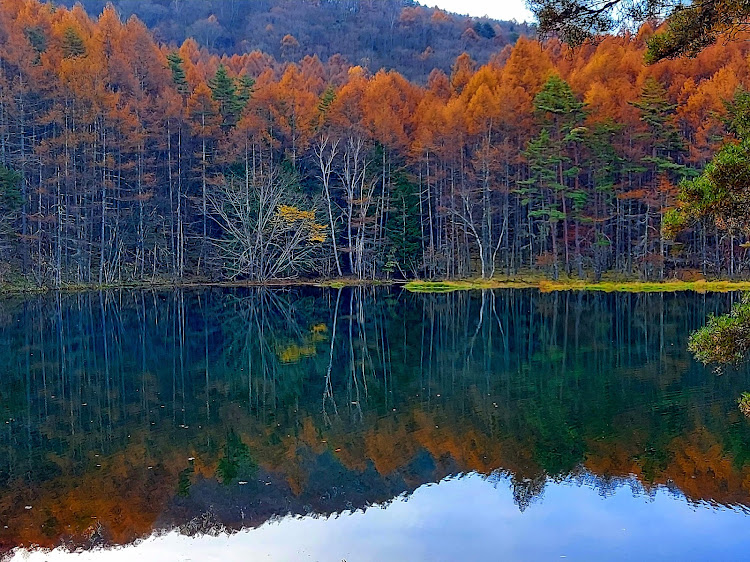 の投稿画像9枚目