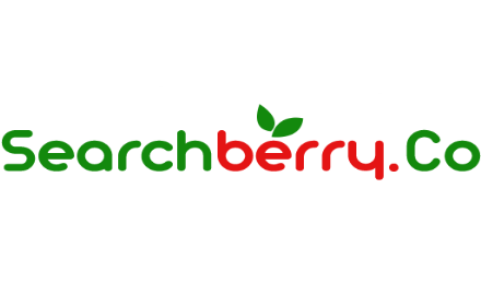 Searchberry Home Page small promo image