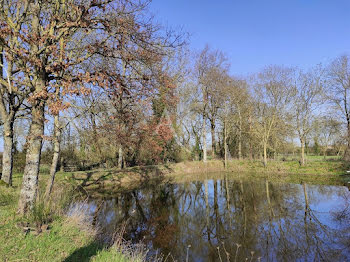 maison à Montaigu-Vendée (85)