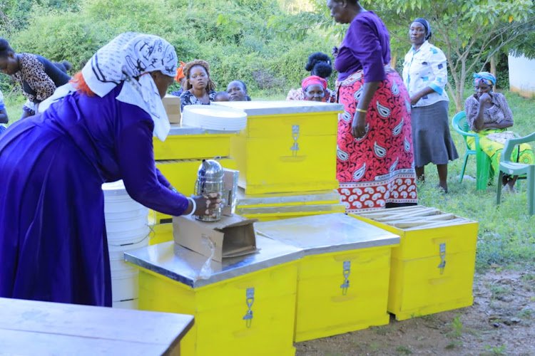 A member of a bee farmers group who benefited from the apiary kits donations on Wednesday