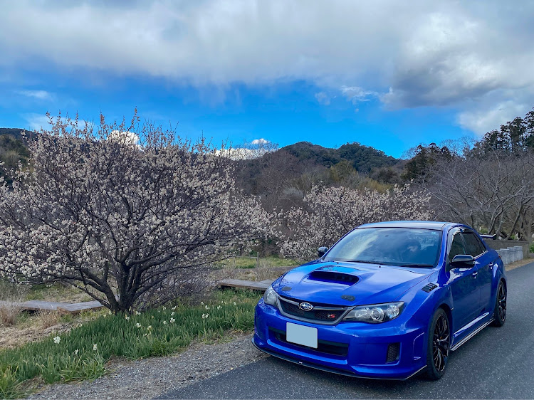 インプレッサ WRX STIの失敗しても何か得るものはある・今回は花探し🌸・色々と成果なし💦・teamBOXERに関するカスタム事例の投稿画像16枚目
