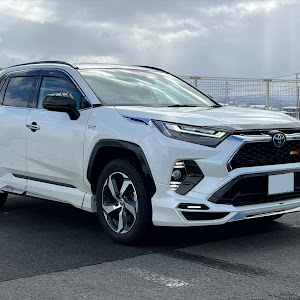 RAV4 AXAP54