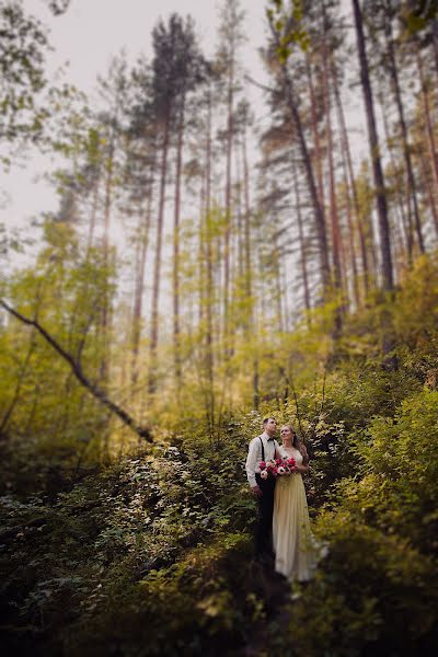 結婚式の写真家Veronika Balasyuk (balasyuk)。2017 2月2日の写真