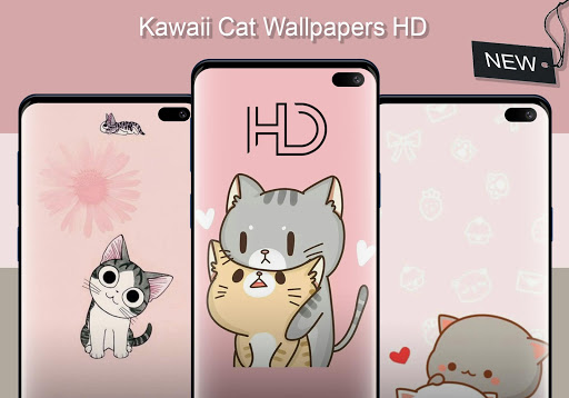 Kawaii Cat Wallpapers HD