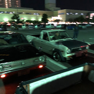 サニートラック