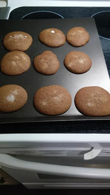 Catherine Batten's Molasses Cookies