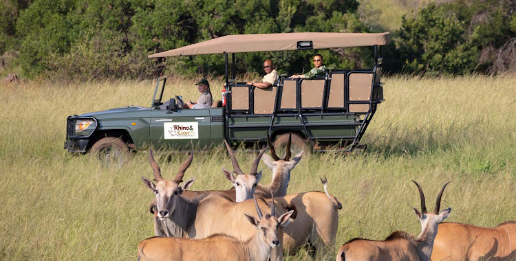 The are more than 30 species of animals to be spotted at the Rhino & Lion Nature Reserve.