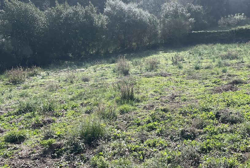  Vente Terrain à bâtir - à Macinaggio (20248) 