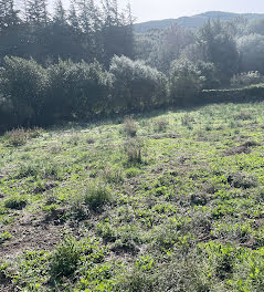 terrain à batir à Tomino (2B)