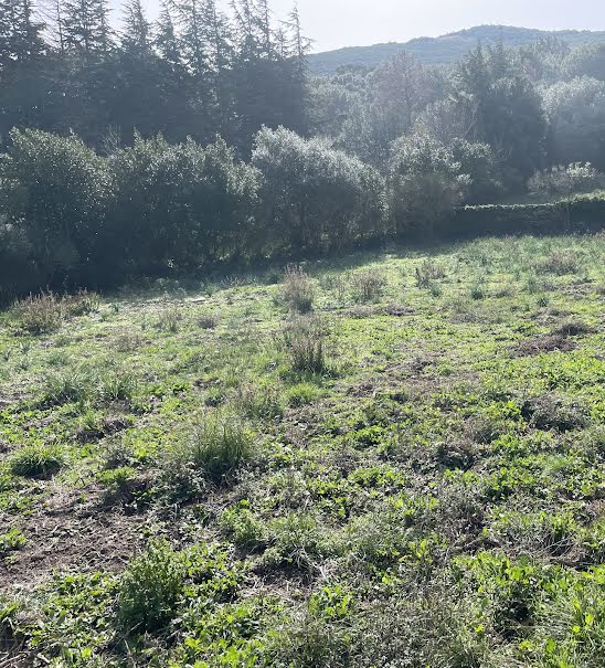 Vente terrain à batir  1100 m² à Tomino (20248), 120 000 €