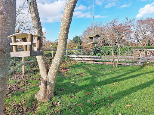 House with terrace 3