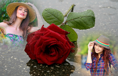 Rainy Rose Photo Frame(圖5)-速報App