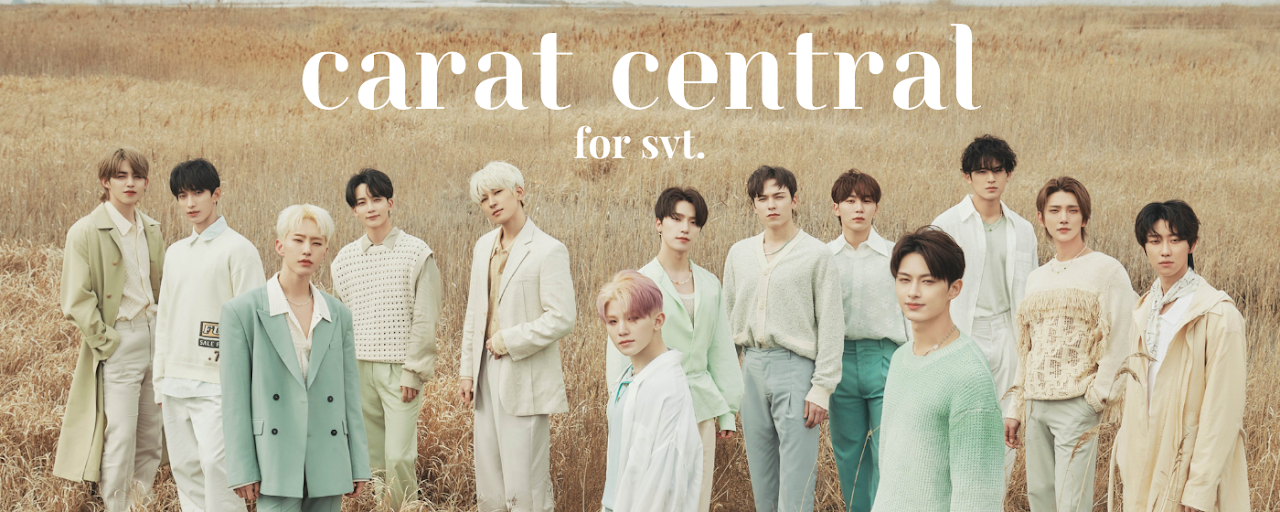 Seventeen: Carat Central Kpop Preview image 2