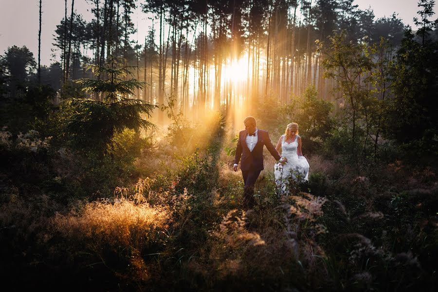 Hochzeitsfotograf Krzysztof Langer (regnal). Foto vom 24. Juli 2017